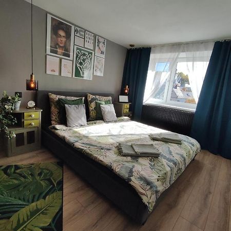 Dian Feelhome Banska Bela Exteriér fotografie