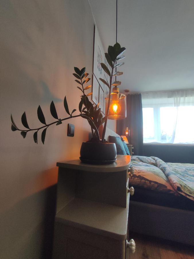 Dian Feelhome Banska Bela Exteriér fotografie