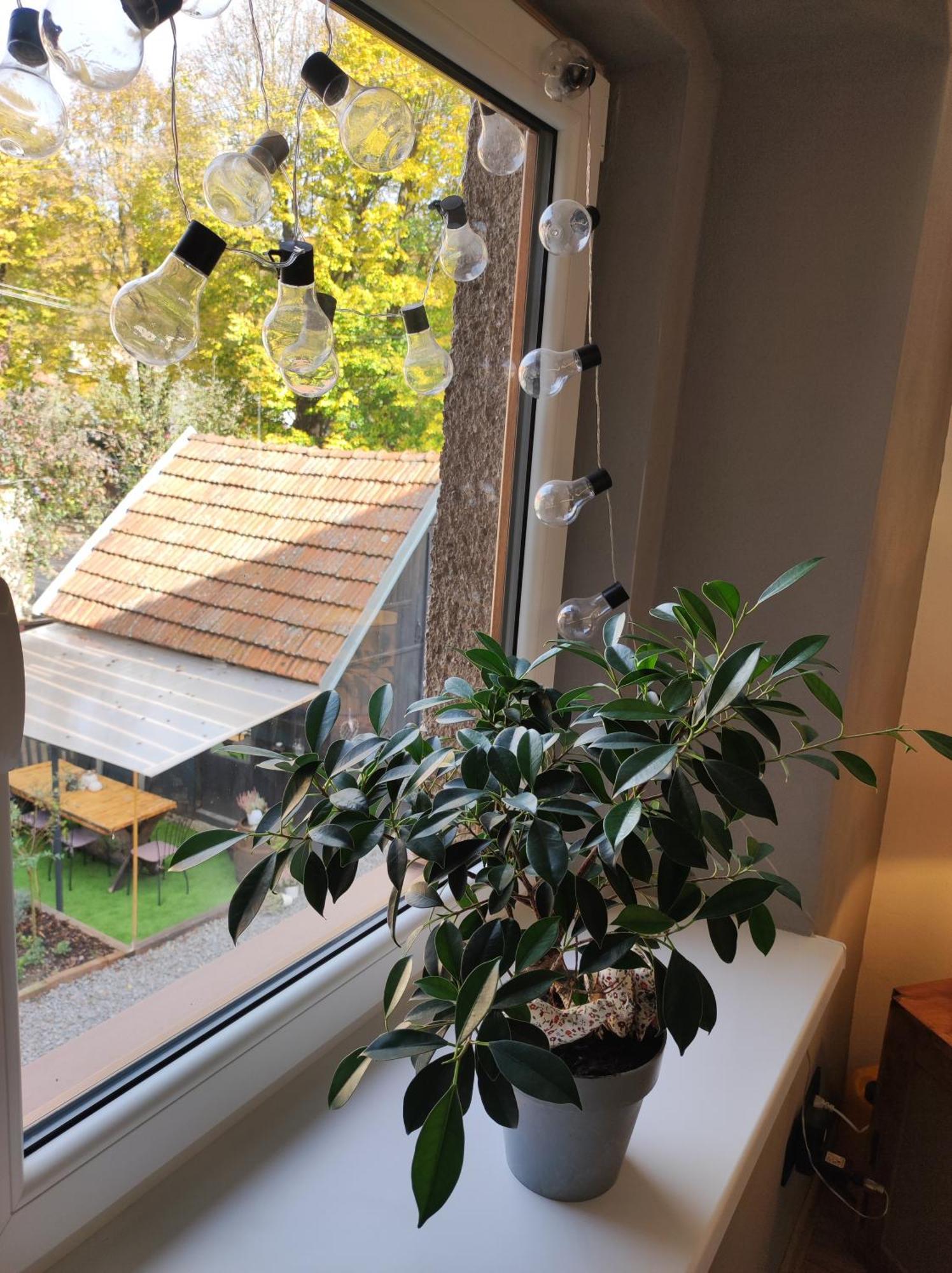 Dian Feelhome Banska Bela Exteriér fotografie